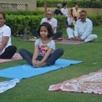 Yoga Day celebrated at New Town Heights,DLF Gardencity