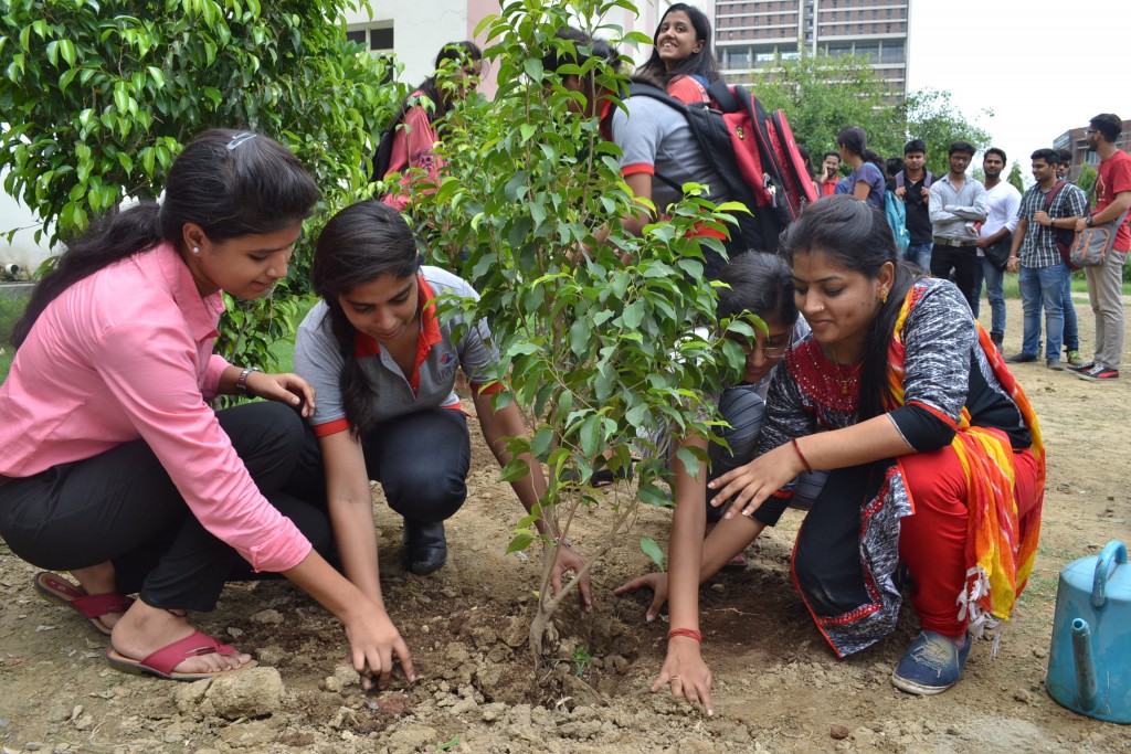 IMS, Tree Plantation, A.P.J Abdul Kalam