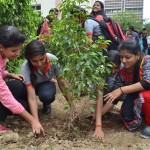 IMS Noida Organised a unique tree plantation(1)