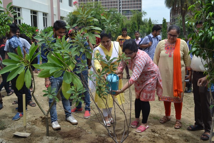 IMS, Tree Plantation, A.P.J Abdul Kalam