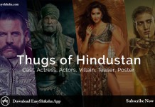 Thugs of Hindostan
