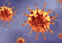 BLUE BELLS GROUP OF SCHOOLS