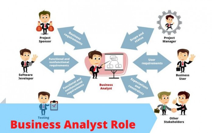 Business Analyst Role
