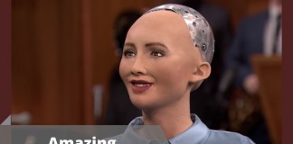 Amazing Humanoid Robots