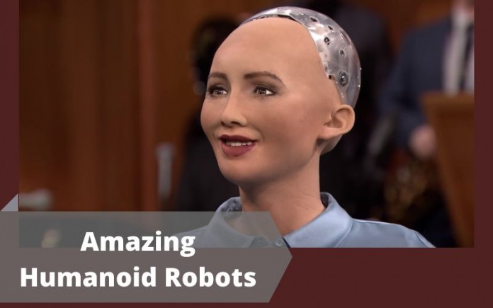 Amazing Humanoid Robots