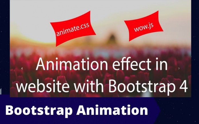 Bootstrap Animation