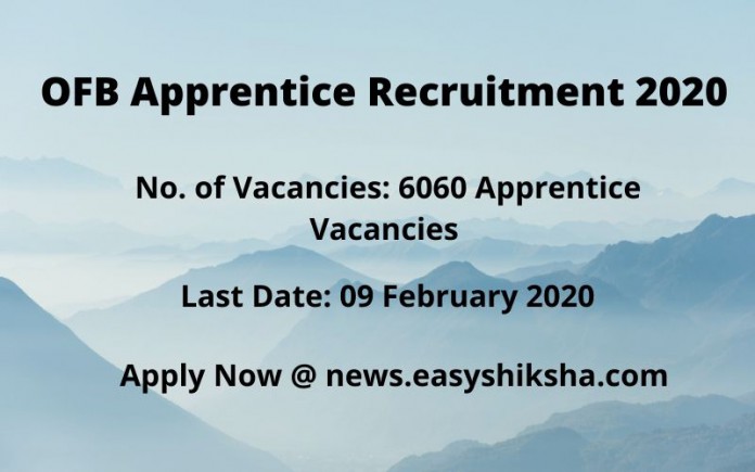 OFB Apprentice Recruitment 2020
