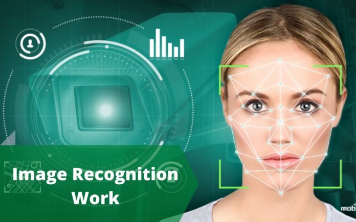 Image Recognition Work