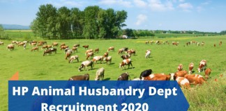 HP Animal Husbandry Dept Recruitment