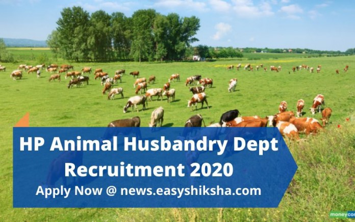 HP Animal Husbandry Dept Recruitment