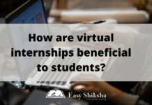 Virtual internships