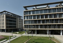 Summer Experience Programme