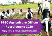 PPSC Agriculture Officer Recruitment 2020