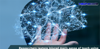 Researchers restore injured man's sense of touch