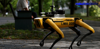 Robot dog enforces social distancing