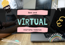 Virtual internships