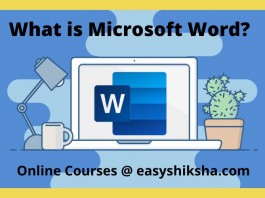 What is MS Word
