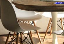 Bamboo the material of future