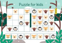 The Slide Number Puzzle Game