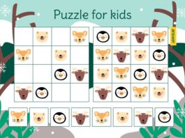 The Slide Number Puzzle Game