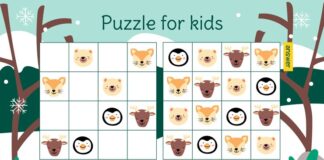 The Slide Number Puzzle Game