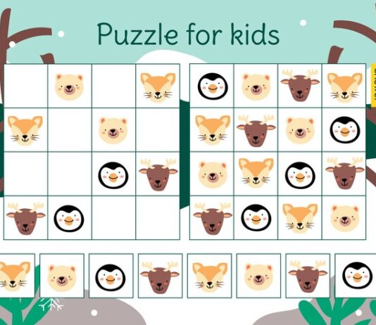 The Slide Number Puzzle Game