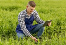 Online Courses And Free Internship In Agriculture