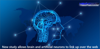 the brain and artificial neurons to link up over the web
