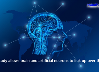 the brain and artificial neurons to link up over the web