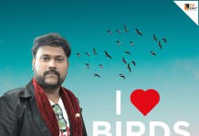 Save Birds