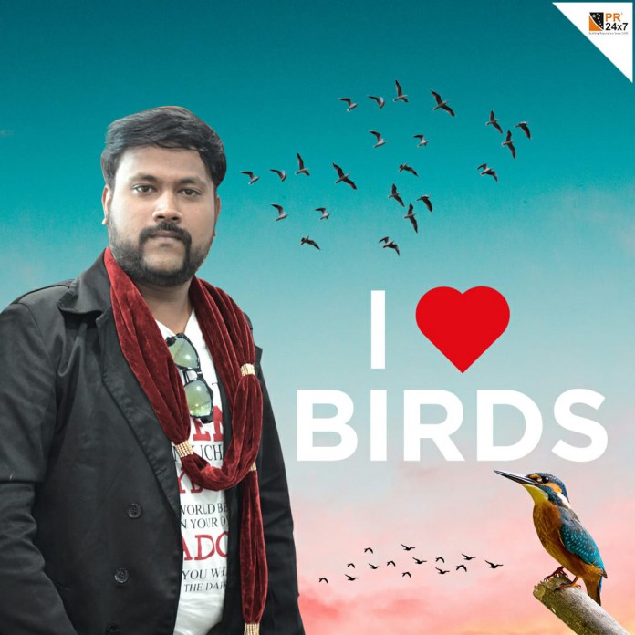 Save Birds